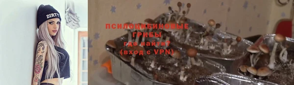 ешки Кодинск