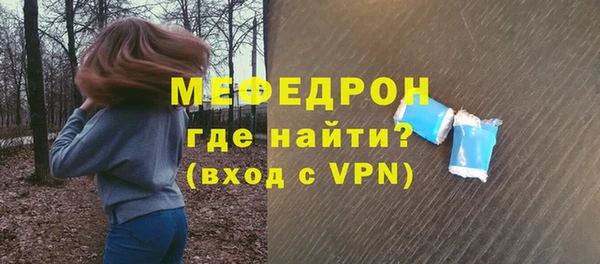 индика Дубна