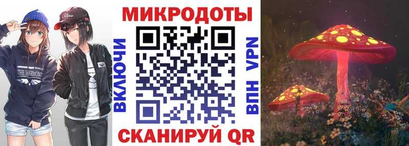 Купить закладки Курчалой Псилоцибиновые грибы Cubensis