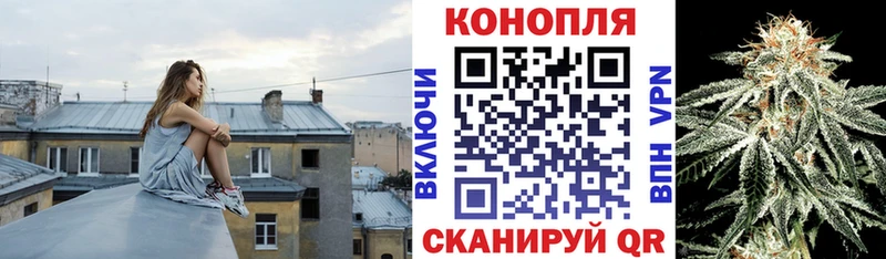 Купить где  Курчалой  Бошки Шишки White Widow 